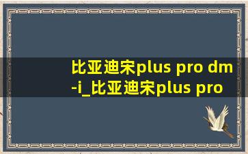 比亚迪宋plus pro dm-i_比亚迪宋plus pro dm i(低价烟批发网)版